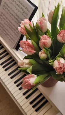 Фортепиано | Flower aesthetic, Pink piano, Piano