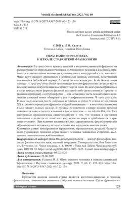 Что делать, если видите ОЧЕНЬ пьяного человека на улице? | Просто о ваших  правах! | Дзен