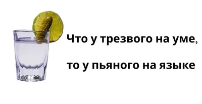 Нейропсихолог Ивановский объяснил, почему пьяные люди не могут сдерживать  свои потаенные мысли и желания