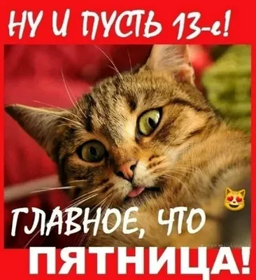 Пятница 13