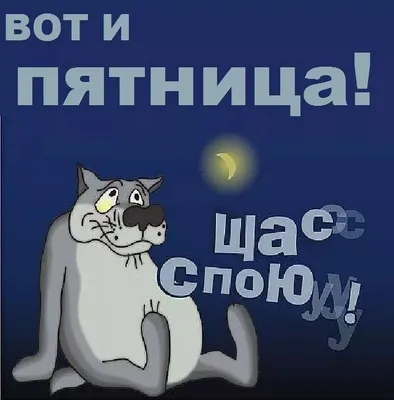 Расписание мероприятий в парке "Сынково" с 27 февраля по 5 марта