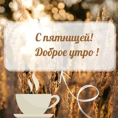 ☕ Доброе Утро Пятница! Красивая Песня Пожелание Доброго Утра Хорошего Дня  Видео открытка С Пятницей - YouTube