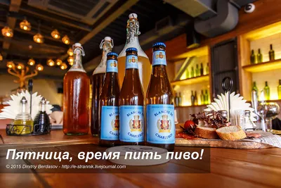 Чешское пиво. Шнит, столни, ржезане и другие… + пиво месяца | О Чехии и не  только | Дзен