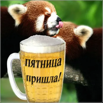  (Среда) Среда - это маленькая пятница,  года, в пивном  ресторане Пивнушка МІСТО в городе Харькове
