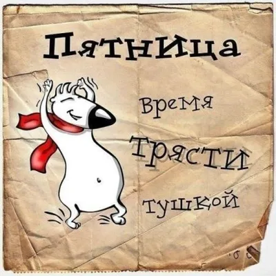 Пятница — новые прикольные фото, анекдоты, видео, посты на 