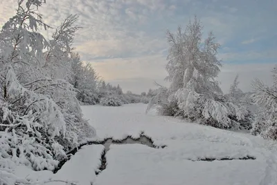 С добрым утром Пятница!🤗💗❄️🌨️ | Рождественские поздравления, Открытки,  Доброе утро