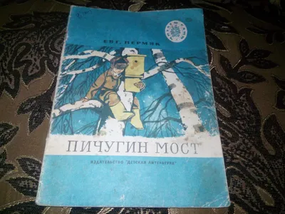 ответ на вопросы Автор:Евгений Пермяк Называется:Пичугин мост - Школьные  Знания.com