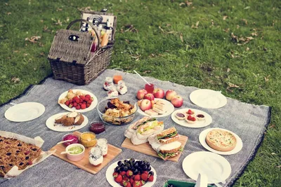 Вкус уходящего лета: как организовать красивый пикник на природе? 3 простых  совета | ITLV | Дзен