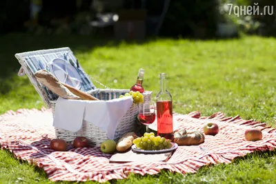 Что взять на пикник: вещи и еда для идеального пикника: События:  Путешествия: 