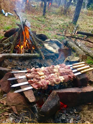 Какой шашлык лучше взять на пикник?