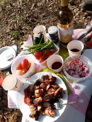 Валентина Праведникова - Пикник с шашлыками на даче!🥘🧂🍽 | Facebook