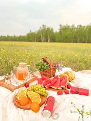 The Ultimate Picnic Guide - Sanctuary Home Decor