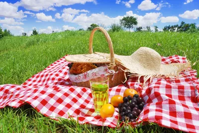 How to Plan a Farm Fresh Summer Picnic