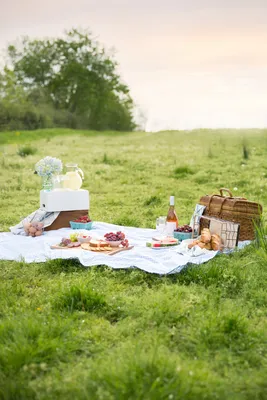 Pack the Perfect Wine Picnic - Wine and Country Life