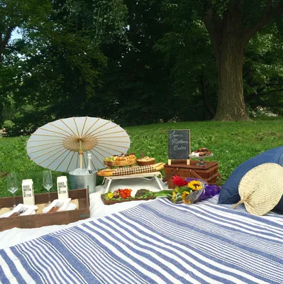 Perfect Picnic NYC