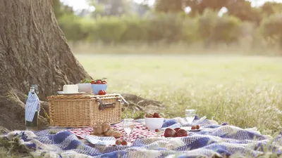 Romantic Summer Picnic Date - Outdoor Meal Inspiration