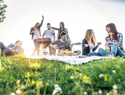 Romantic Picnic Pictures | Download Free Images on Unsplash