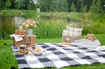 Пикник в горах | Picnic, Summer picnic, Picnic inspiration