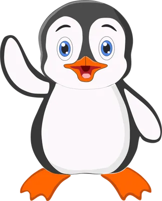 Красивый пингвин — раскраска для детей. Распечатать бесплатно.