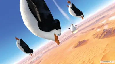 пингвины мадагаскара :: Мадагаскар (Мультфильм) :: DreamWorks ::  Мультфильмы / смешные картинки и другие приколы: комиксы, гиф анимация,  видео, лучший интеллектуальный юмор.