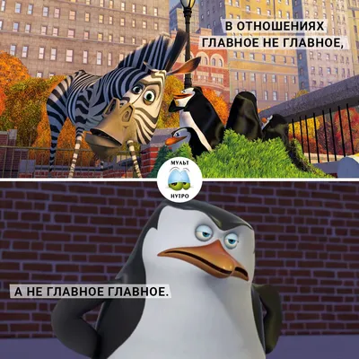 Фильм «Пингвины Мадагаскара» / The Penguins of Madagascar (2014) —  трейлеры, дата выхода | КГ-Портал