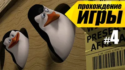 Пингвины Мадагаскара / Penguins of Madagascar - Дай ласт - Coub - The  Biggest Video Meme Platform