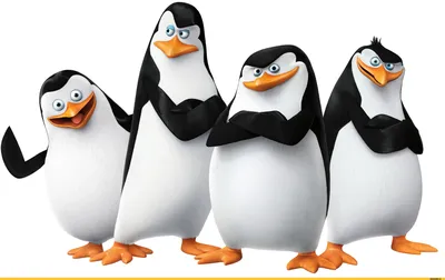 КРЫМ НАВСЕГДА: Пингвины Мадагаскара. Они не останутся в тени!