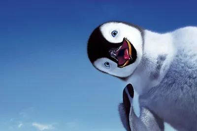 Купить IKEA BILD() Плакат милые пингвины лучшая цена — PlMebli