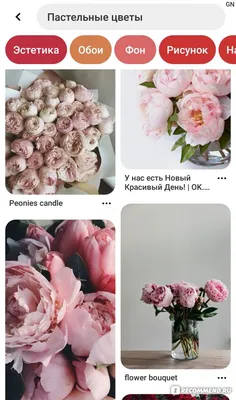 Pinterest в 2023 г | Красивые девушки