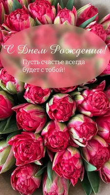 С Днём Рождения | Happy birthday wishes cards, Happy birthday cards, Happy  birthday greetings | Семейные дни рождения, Цитаты о дне рождения, С днем  рождения