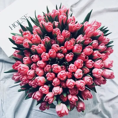 Пин от пользователя Anood Warsho на доске love | Цветы, Букет цветов, Пионы  в 2022 г | Розовые пионы, Пионы, Цвет… | Коралловые пионы, Цветы плюмерии,  Розовые пионы