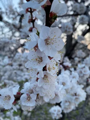 Весна🌸 | Весна