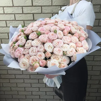 Что за цветы – пионовидные розы? Сорта и особенности | Roses Delivery