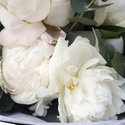 Белые пионы в корзине от 25 шт. за 28 890 руб. | Бесплатная доставка цветов  по Москве