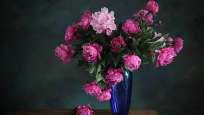 Скачать 1920x1080 пионы, цветы, букет, розовый обои, картинки full hd,  hdtv, fhd, 1080p