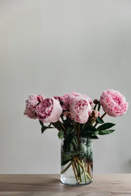 Ярко розовые пионы - 75 фото