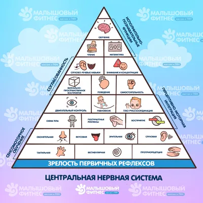 Купить Пирамидка Детская Деревянная Сортер Игрушка Большая Радуга