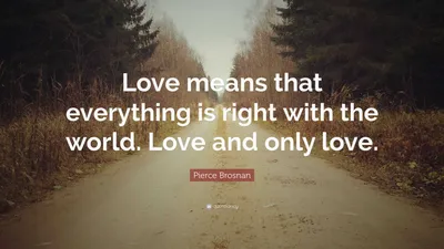 Пирс Броснан цитата: «Любовь означает, что в мире все в порядке. Любовь и только любовь».