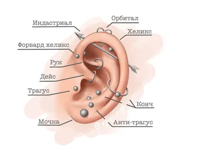 Все, что нужно знать про прокалывание ушей | Vogue UA