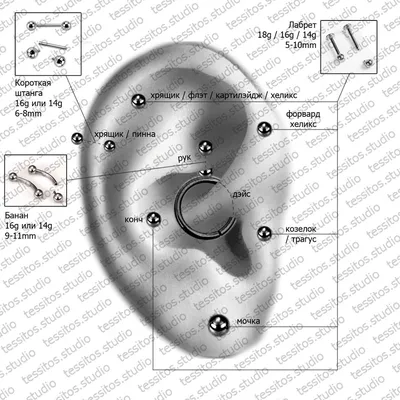 Пирсинг уха - виды и названия проколов, украшения и уход