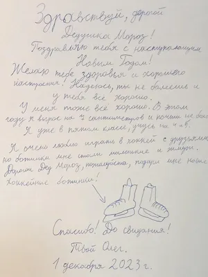 Новогодний набор (конверт и бланк письма Деду Морозу) купить в Минске и  Беларуси - ТРИ цены