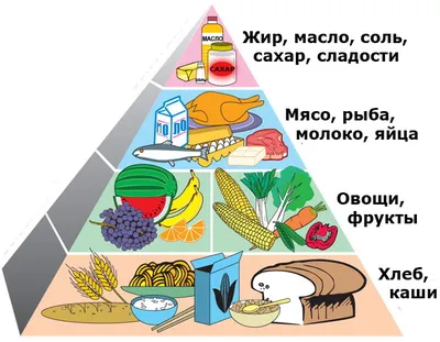 Льготное питание в школе детям из малообеспеченных семей в Москве теперь  назначается автоматически — Школа.Москва