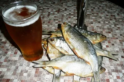 Прочитал в одном гороскопе, что рыбы лучше всего сочетаются с пивом. |  Пикабу
