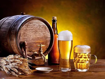 Купить пиво Bavaria 4,9% Can в Алматы за 450 тенге с доставкой на дом или в  организацию!