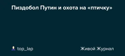 Пиздобол: истории из жизни, советы, новости, юмор и картинки — Горячее,  страница 16 | Пикабу