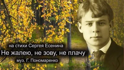 За право мстить плачу любовью Литромир 154574722 купить в интернет-магазине  Wildberries