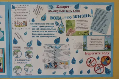 15 апреля — День экологических знаний | МОБУ школа №79 г.Сочи