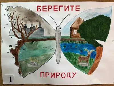 Рисунок Охрана Природы (60 Фото)