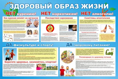 Плакаты. «Мы за здоровый образ жизни!»