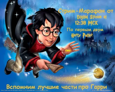 СТРИМ-МАРАФОН ЗА НОМЕРОМ ДВА от Digital Stream! По первым двум Harry  Potter'ам! Вспомним лучшие игры про этого мальчугана  в  по  МСК ( ОТМЕНЕН ) | StopGame